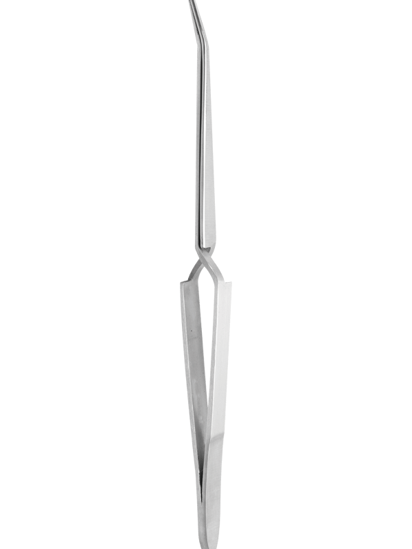 C-Kurve Nagel Pincher – Bild 1